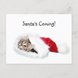 Postal Festiva Gatito en Santa Hat