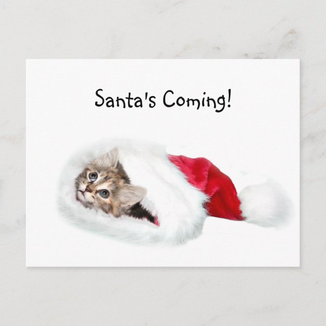 Postal Festiva Gatito en Santa Hat (Anverso)