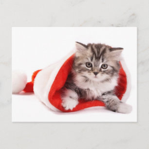 Postal Festiva Gatito En Un Sombrero De Santa