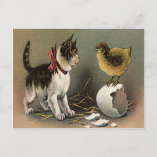 Postal Festiva Gatito Gato Gato Gato De Chick De Pascua