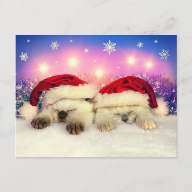 Postal Festiva Gatito siamés: Santa Twinsies (Anverso)