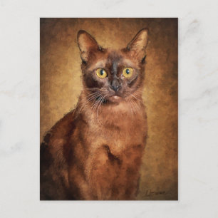 Postal Festiva Gato birmano marrón