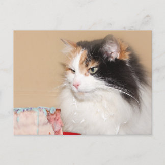 Postal Festiva Gato calico come pastel de cumpleaños