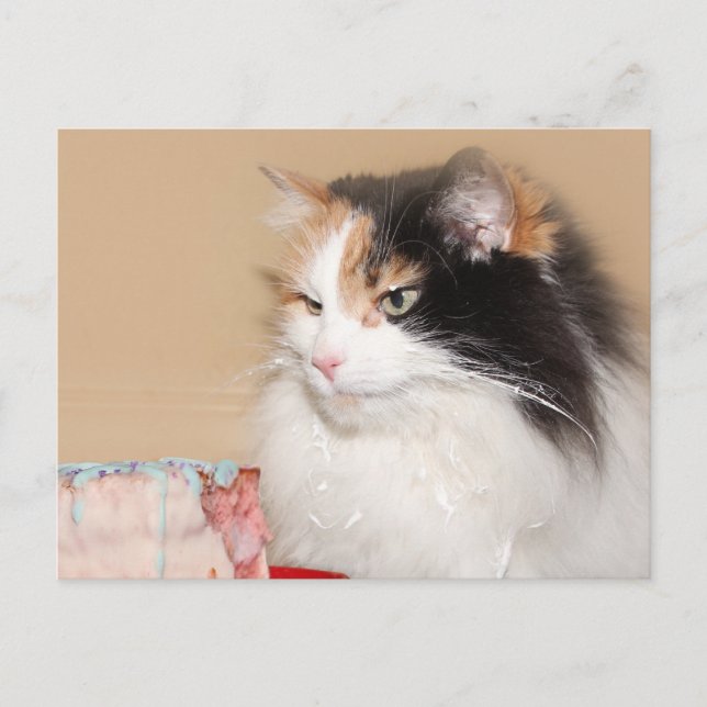Postal Festiva Gato calico come pastel de cumpleaños (Anverso)