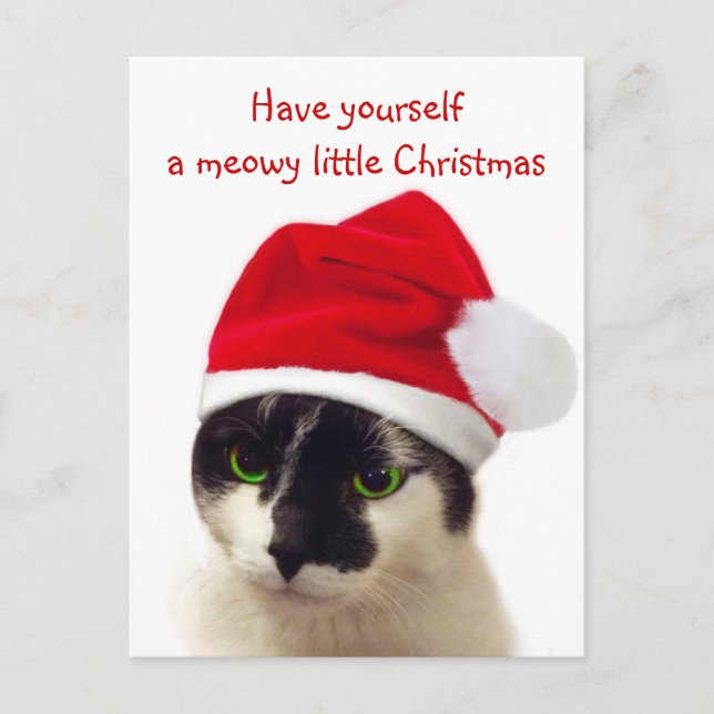 Postal Festiva Gato con el Gorra de Santa (Anverso)