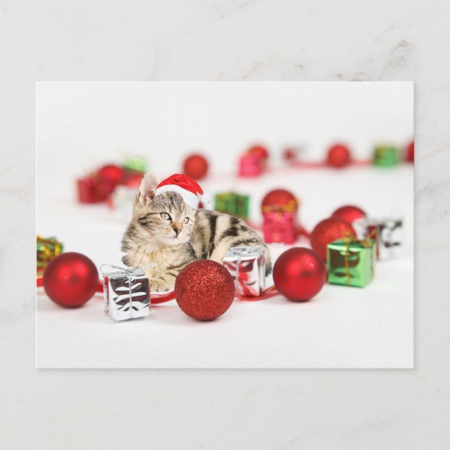Postal Festiva Gato con sombrero rojo de Papá Noel Ornamento de N (Anverso)