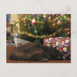 Postal Festiva Gato de navidades