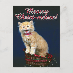 Postal Festiva Gato de navidades