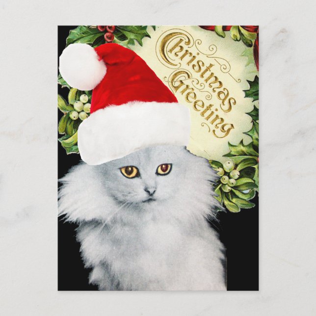 POSTAL FESTIVA GATO DE NAVIDADES BLANCOS CON GORRA DE SANTA CLAUS (Anverso)