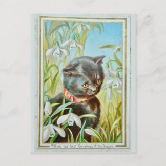 Postal Festiva Gato de Navidades de Victoria