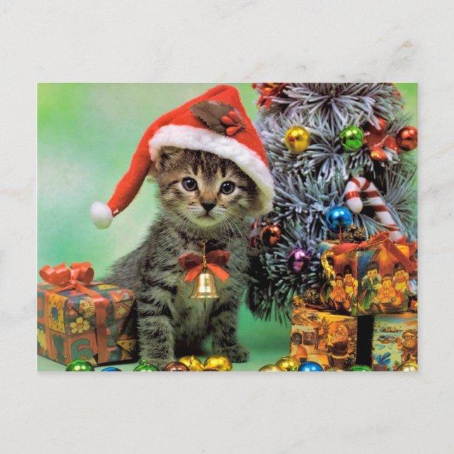 Postal Festiva Gato de Navidades preciosos (Anverso)