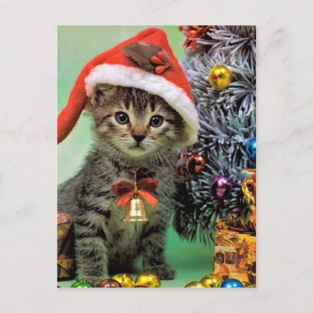 Postal Festiva Gato de Navidades preciosos (Anverso)