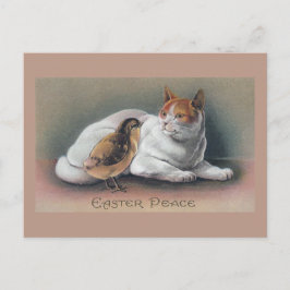 Postal Festiva Gato de Pascua y pollo