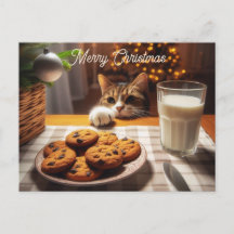 Gato de Tabby corto llegando a Navidades de cookie