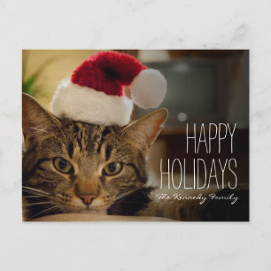 Postal Festiva Gato de tabby de pelo corto de Brown
