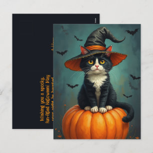 Postal Festiva Gato De Tuxedo Bruja De Halloween En Una Calabaza