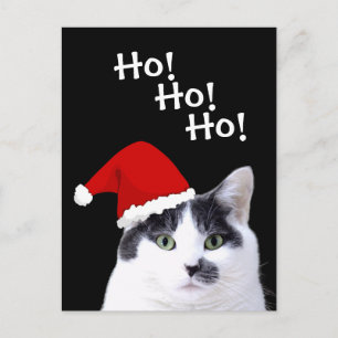 Postal Festiva Gato en vacaciones de Santa Hat