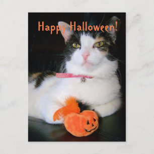 Postal Festiva Gato feliz de Halloween con calabaza