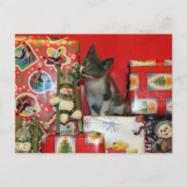 Postal Festiva Gato, gatito, Navidades, rescate, foto