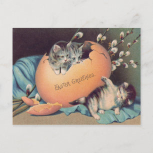 Postal Festiva Gato Gatito Pascua Huevo Coloreado Algodón