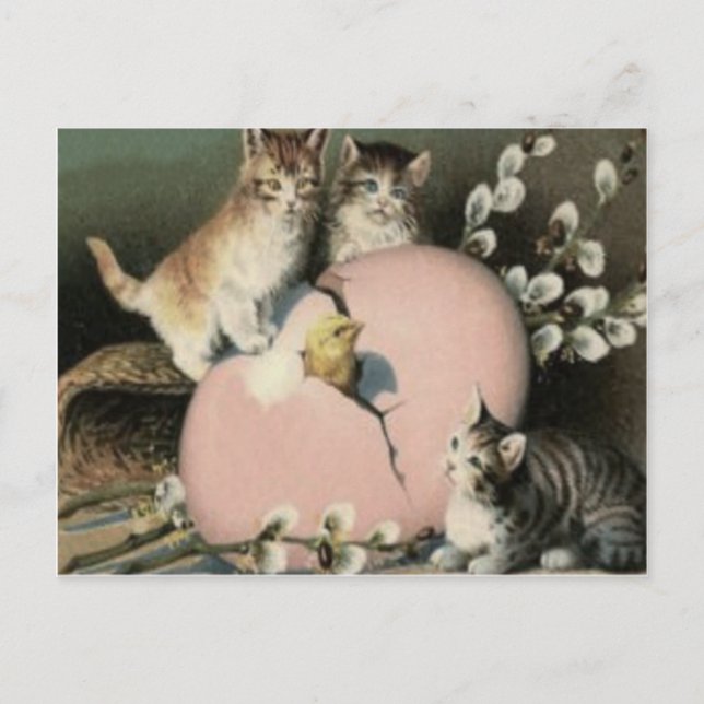 Postal Festiva Gato Gato Gatito De Pascua Chick De Huevo Pintado  (Anverso)
