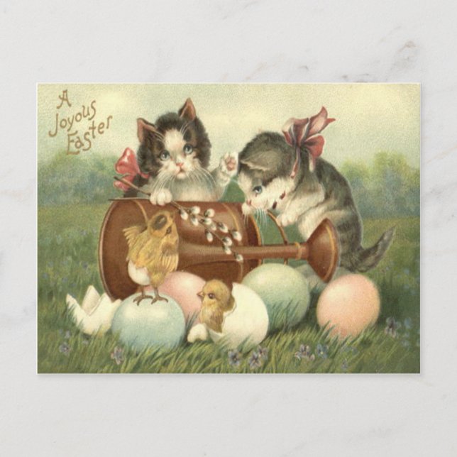 Postal Festiva Gato Gato Gato Gatito De Pascua Pollito De Huevo P (Anverso)