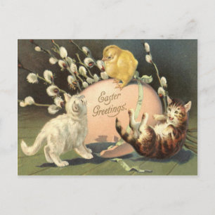 Postal Festiva Gato Gato Gato Gatito De Pascua Pollito De Huevo P