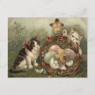 Postal Festiva Gato Gato Gato Gatito De Pascua Pollito De Huevo P