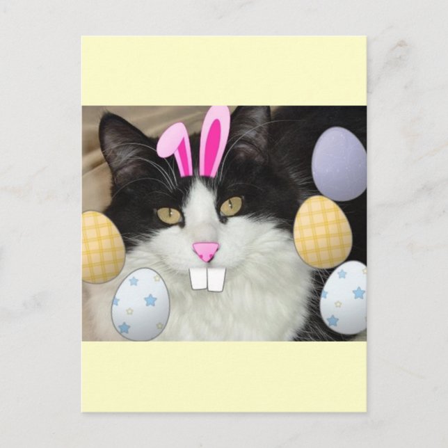 Postal Festiva Gato gitano negro y blanco de Pascua (Anverso)
