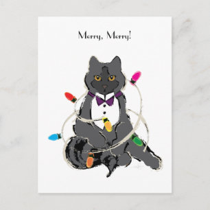 Postal Festiva Gato Gris Envuelto En Navidades LIghts Holiday Pos