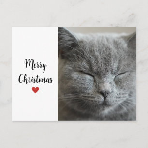Postal Festiva Gato Gris Lindo Dormilón Amor Navideño