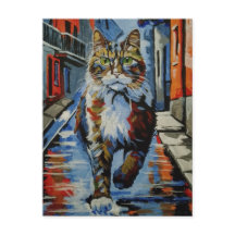 gato, kotofey, calle, ciudad, animal