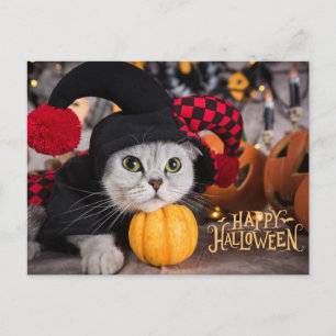 Postal Festiva Gato lindo con divertido disfraz de Halloween 