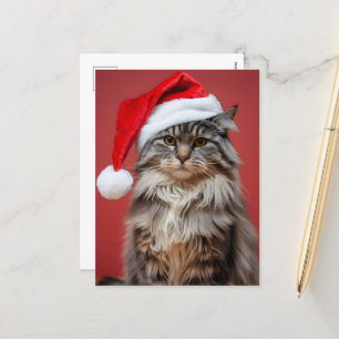 Postal Festiva Gato Maine Coon festivo con sombrero de Santa Navi