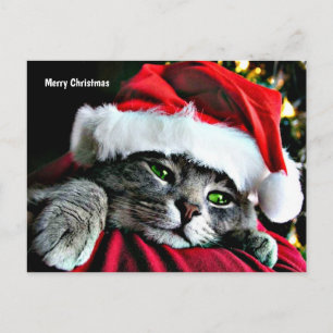 Postal Festiva Gato navideño