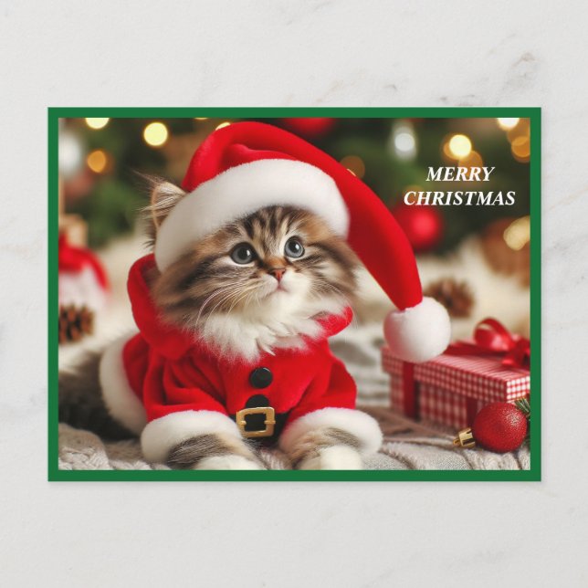 Postal Festiva Gato navideño (Anverso)