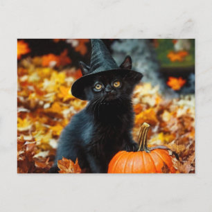 Postal Festiva Gato negro de Halloween y calabaza