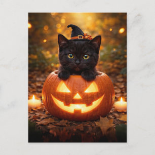 Postal Festiva Gato negro de Halloween y Jack O Lantern lindos
