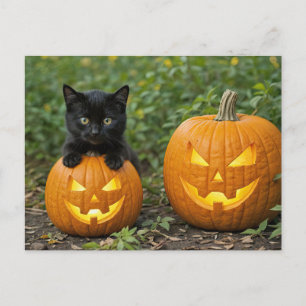 Postal Festiva Gato negro gatito con Jack O Lanterns Halloween
