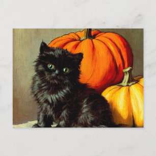 Postal Festiva Gato negro vintage de Halloween y calabazas