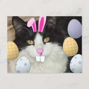 Postal Festiva Gato negro y blanco de Pascua