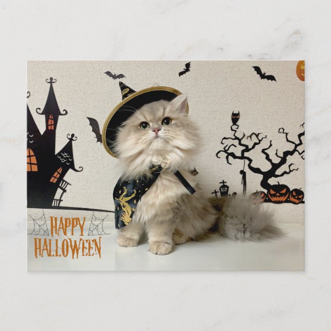 Postal Festiva Gato persa lindo con disfraz de Halloween (Anverso)