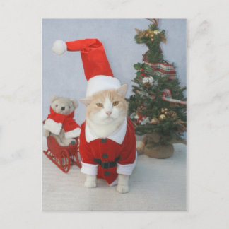 Postal Festiva Gato rechoncho de Santa