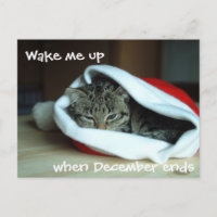 Gato somnoliento en Santa Hat