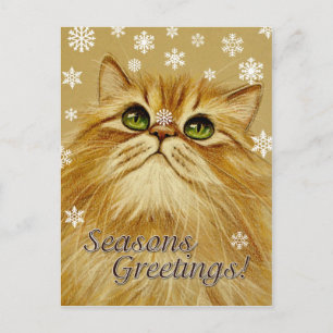 Postal Festiva Gato y Nieve de bienvenida de temporada - Postcard
