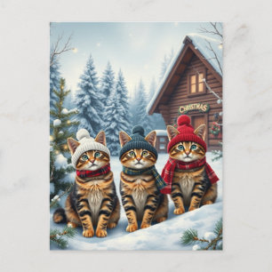 Postal Festiva Gatos atigrados con ropa de invierno elegante y so