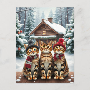 Postal Festiva Gatos atigrados con ropa de invierno elegante y so