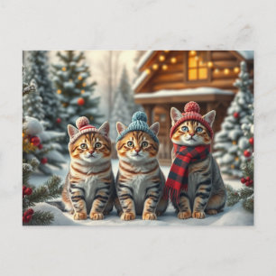 Postal Festiva Gatos atigrados con ropa de invierno elegante y so