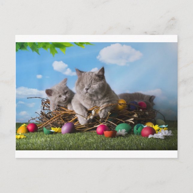 Postal Festiva Gatos de Pascua (Anverso)