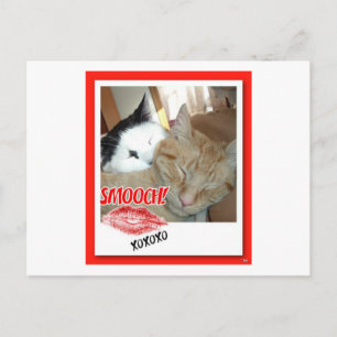Postal Festiva Gatos el día de San Valentín